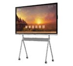 75 inch TrueBoard 01