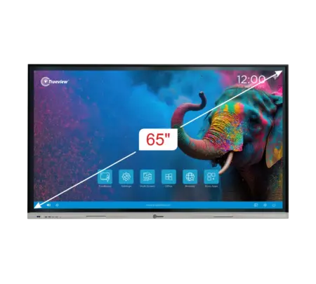 65 inch E-TrueBoard