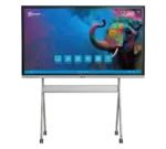 65 inch TrueBoard 01