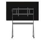 65 inch TrueBoard 01